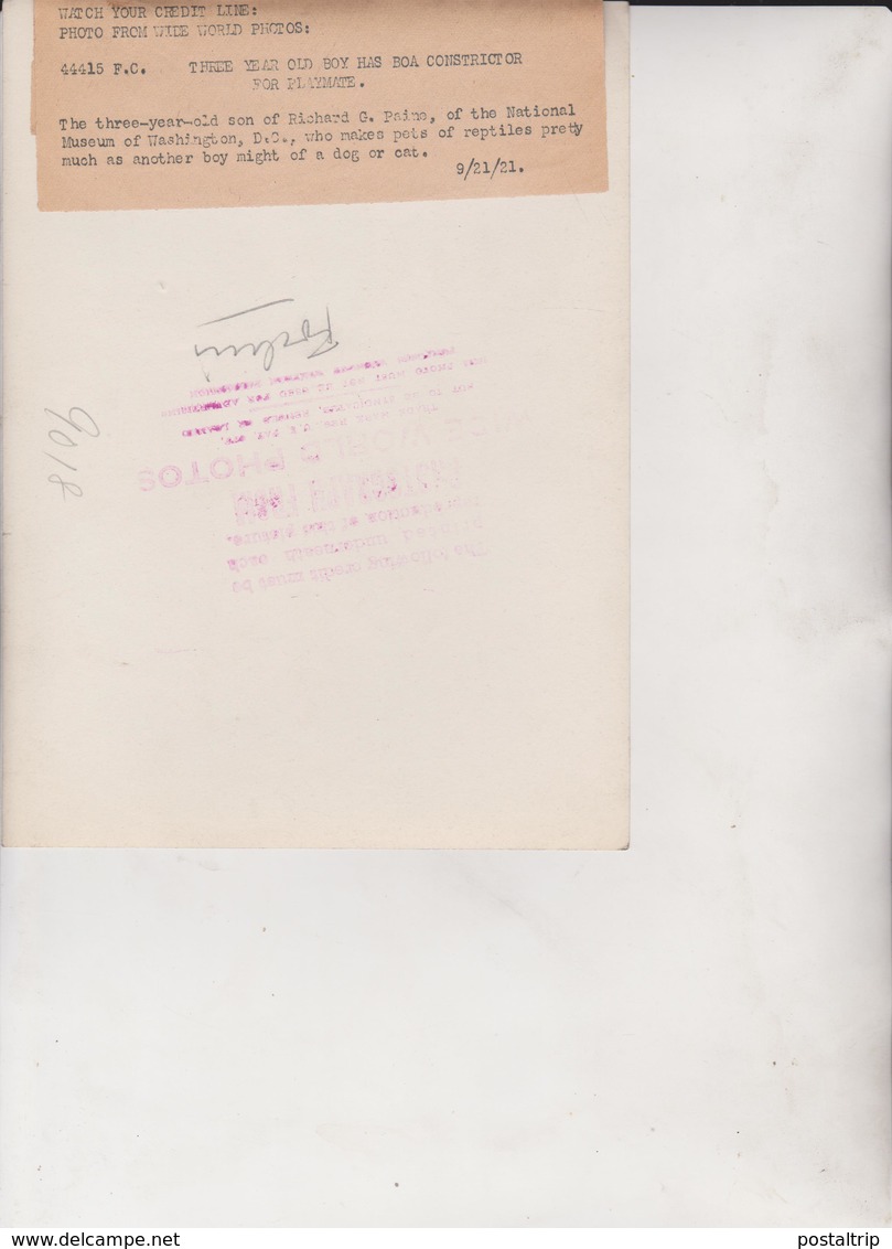 NACIONAL MUSEUW WASHINGTON DC TICHARD G PAINE REPTILES BOA CONSTRICTOR 1921   20 * 15 CM Fonds Victor FORBIN 1864-1947 - Sin Clasificación