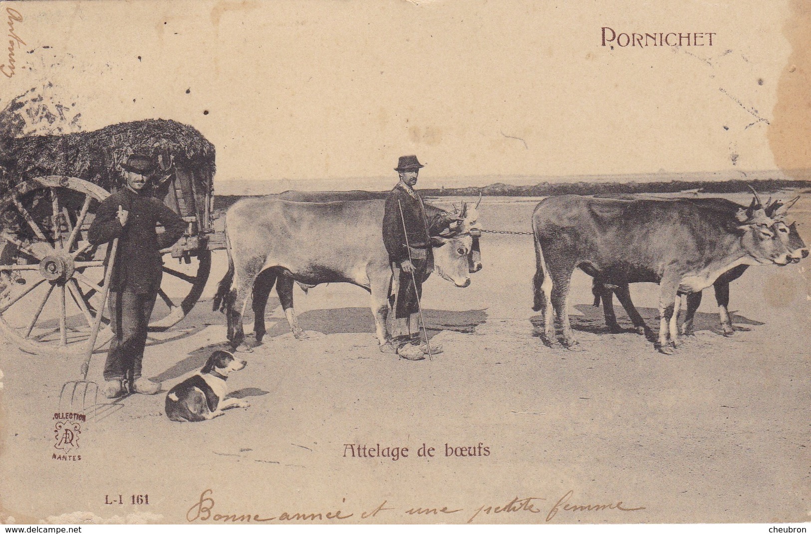 44. PORNICHET.  CPA. ANIMATION. ATTELAGE DE BŒUFS. ANNEE 1904 - Pornichet