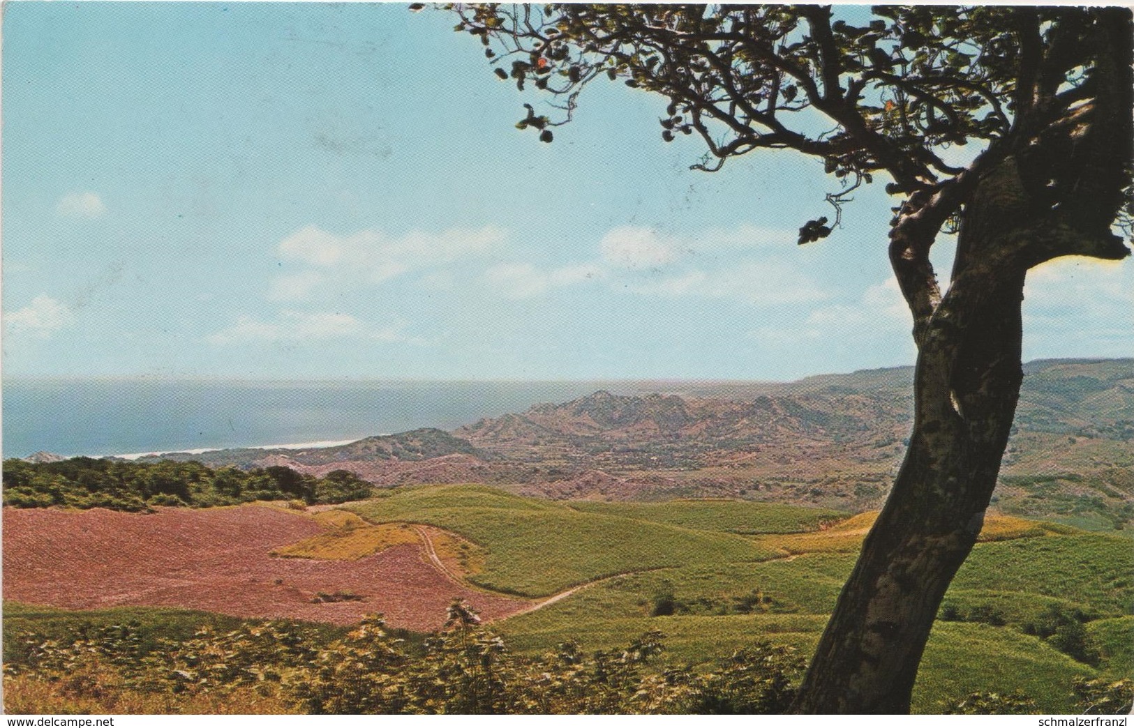 AK Barbados Barbuda View From Farley Hill Antilles West Indies Stamp Timbre Briefmarke Commonwealth British Colony UK - Barbados (Barbuda)