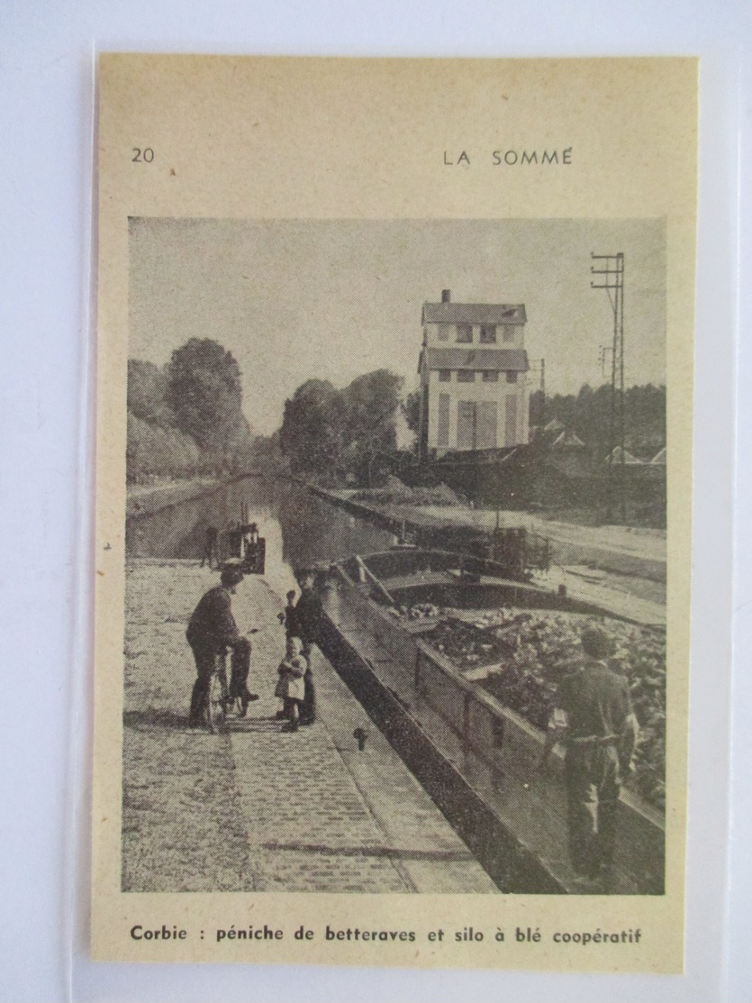 1951 CORBIE (Somme)  La Péniche à Betteraves Au Silo Coopératif - Coupure De Presse Originale (encart Photo) - Documents Historiques