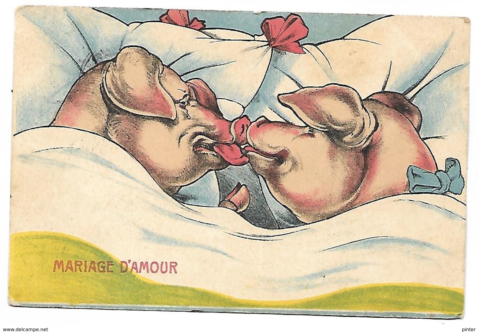 COCHON - Mariage D'amour - Cochons