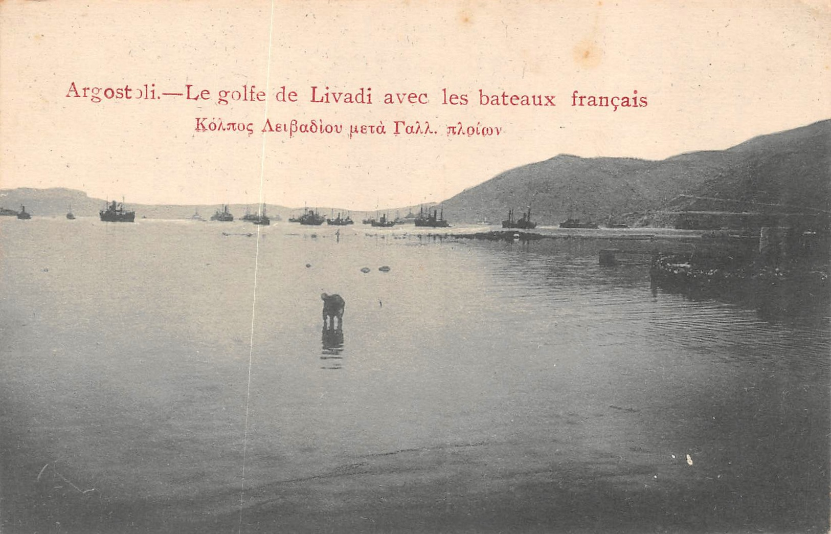 ARGOSTOLI  - Le Golfe De Livadi Avec Les Bateaux Francais - Grèce