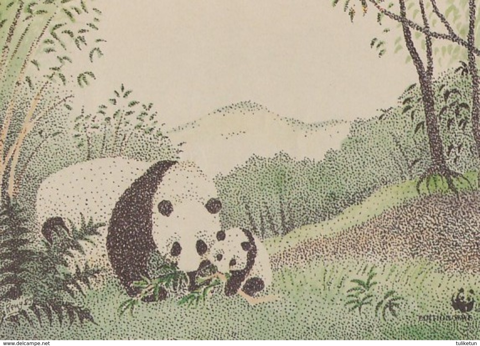 Giant Panda - Animal - Fauna - WWF Panda Logo - Orsi