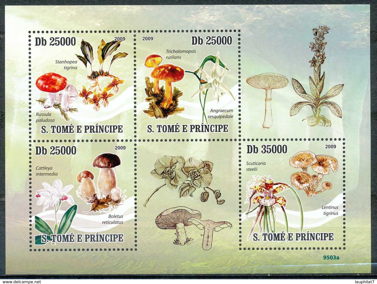 [35279]SUP//**/Mnh-Sao Tome Et Principe - Champignon - Sao Tome Et Principe