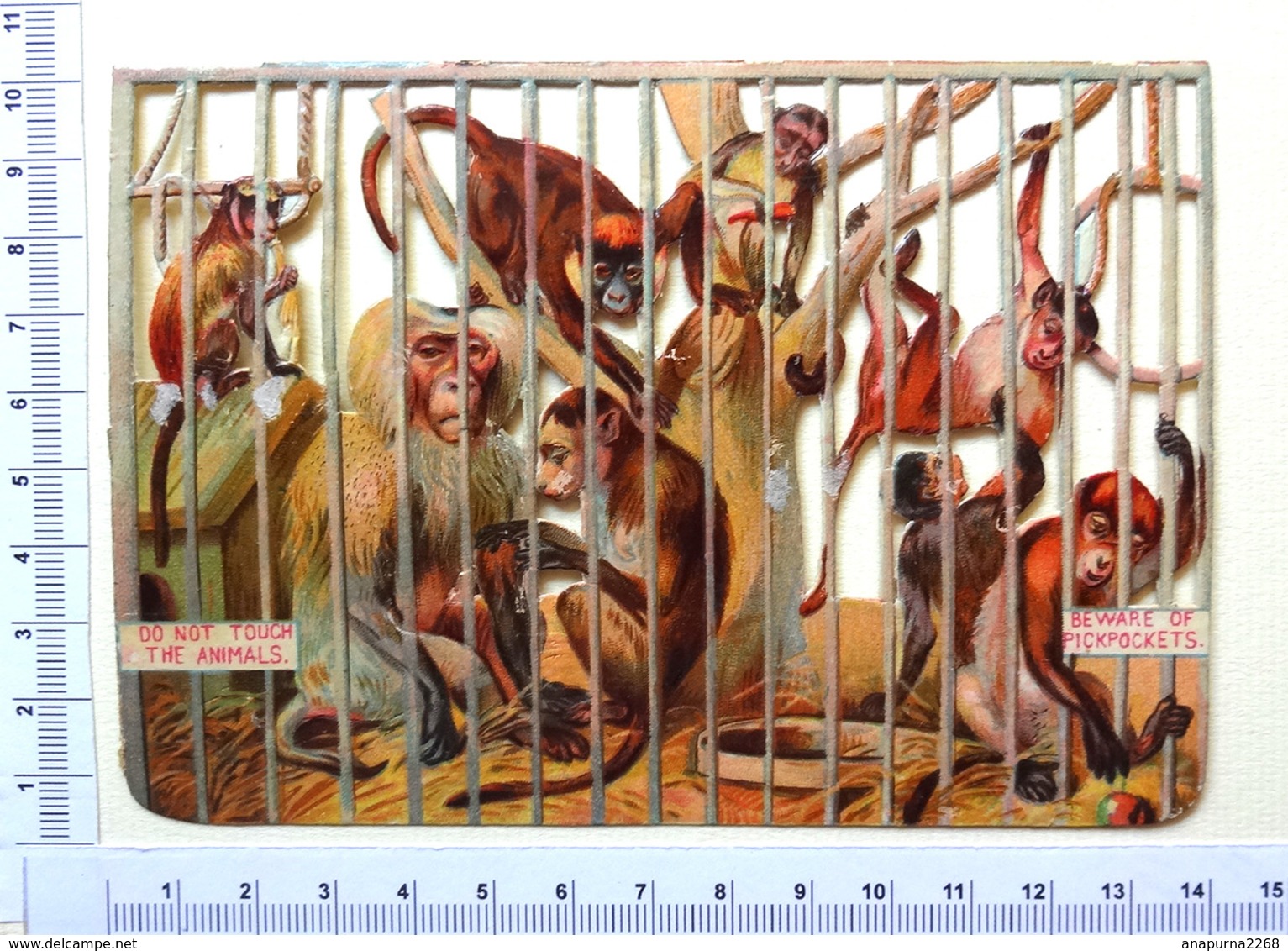 GRAND CHROMO DECOUPI..... LA CAGE AUX SINGES - Animaux