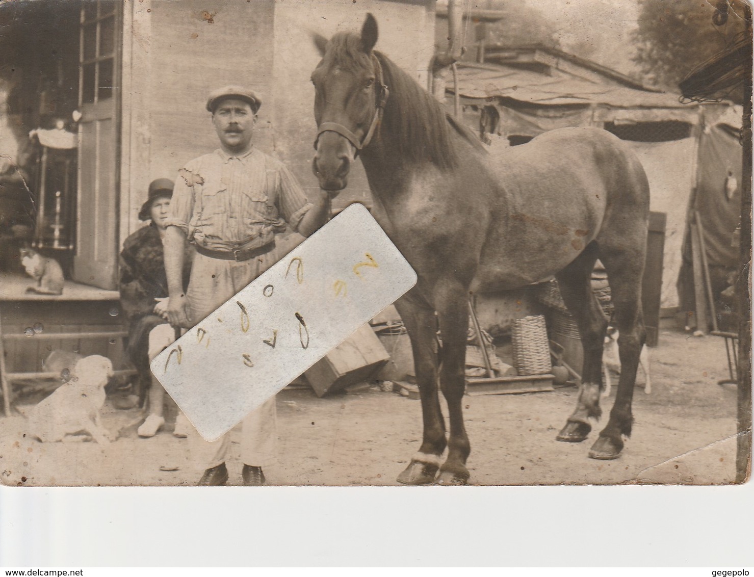 Un Homme Avec Son Cheval En 1931 , Camp De Romanichels  ?      ( Carte-photo ) - A Identifier