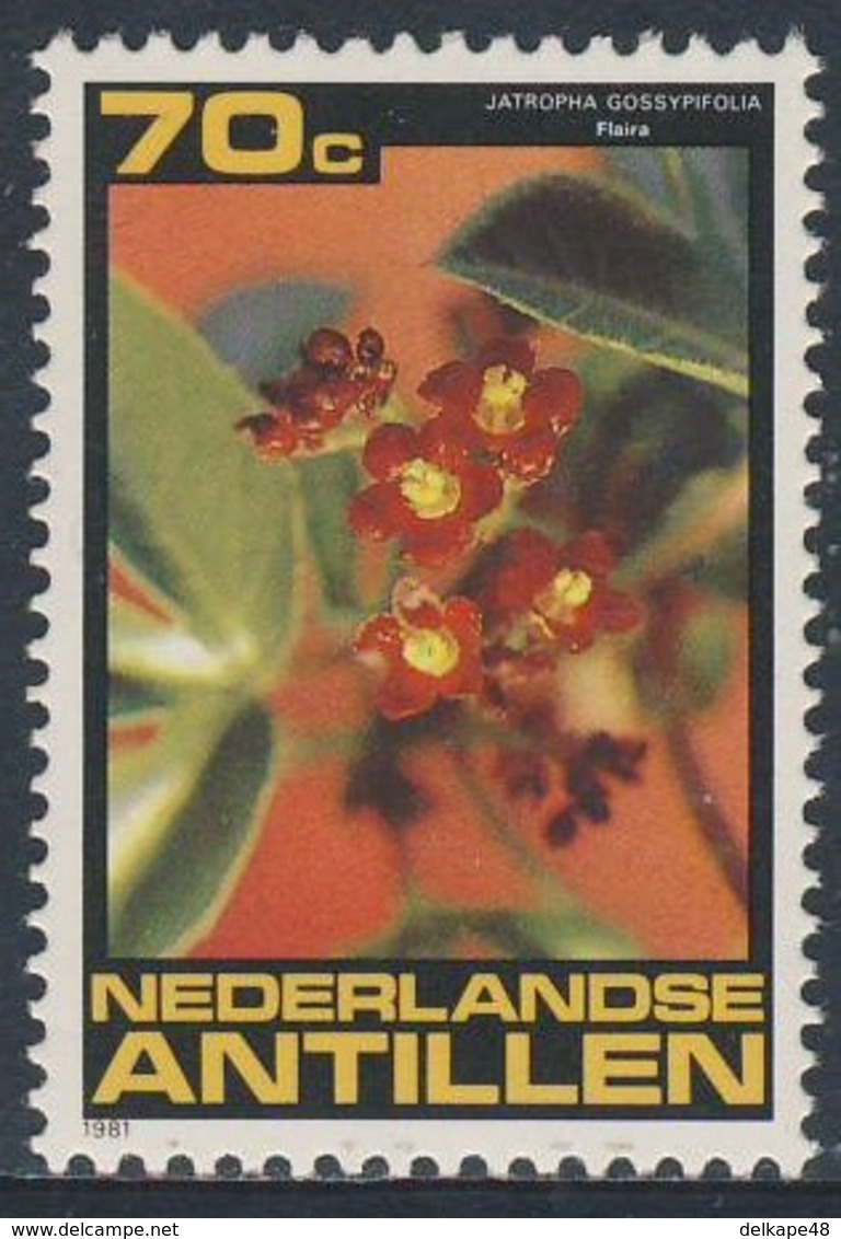 Nederlandse Antillen 1981 Mi 458 SG 767 ** Jatropha Gossypifolia : Flaira / Cotton-leaf Physicnut / Purgiernuß - Medical - Andere & Zonder Classificatie