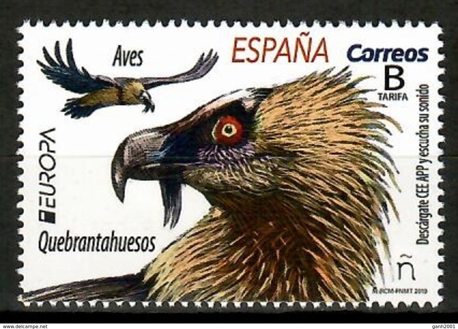 Spain 2019 España / Birds Europa CEPT MNH Aves  Vögel Oiseaux / Cu12338  34-2 - Otros & Sin Clasificación