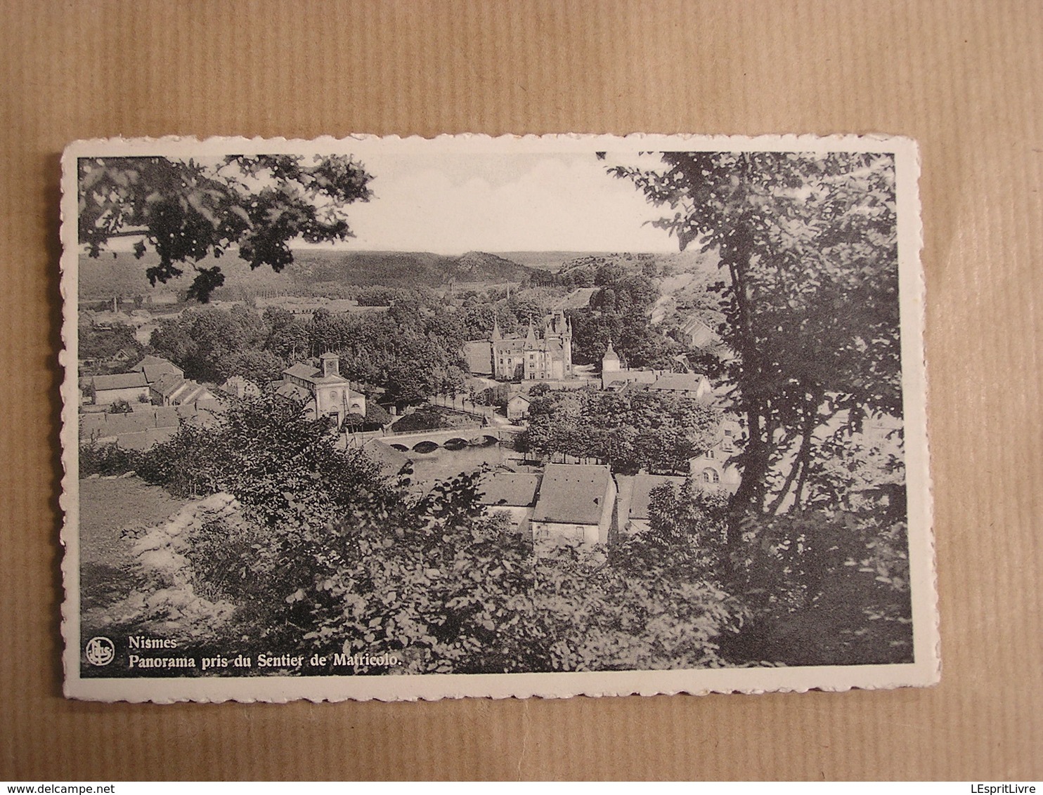 NISMES Panorama Pris Du Sentier De Matricolo Commune Viroinval  Province De Namur Belgique Carte Postale - Viroinval