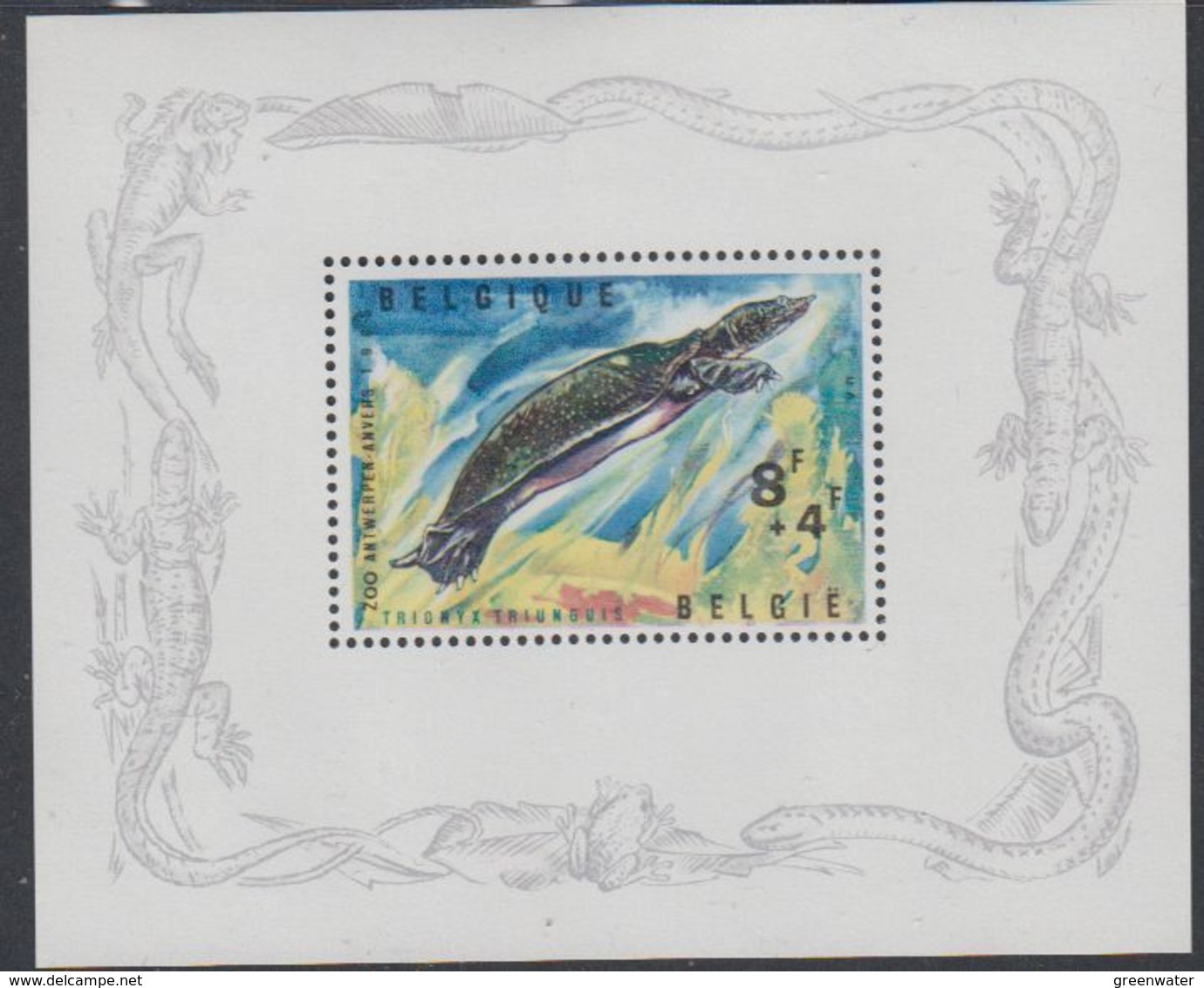 Belgie 1965 Zoo Antwerpen / Schildpad / Turtle M/s ** Mnh (42751) - 1961-2001