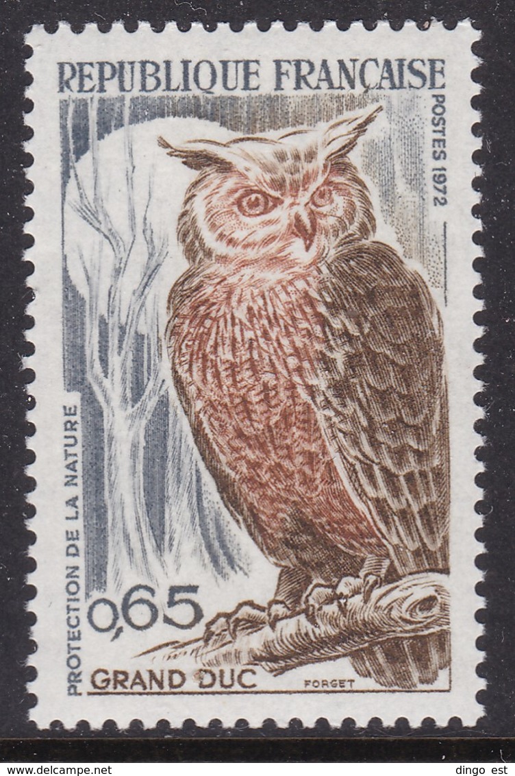 France, Fauna, Birds MNH / 1972 - Hiboux & Chouettes