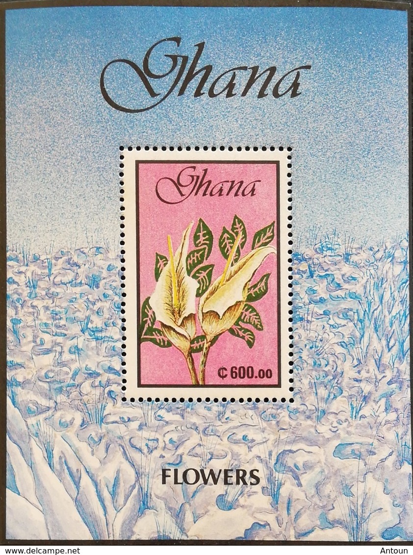 Ghana  1991 Flowers S/S - Ghana (1957-...)