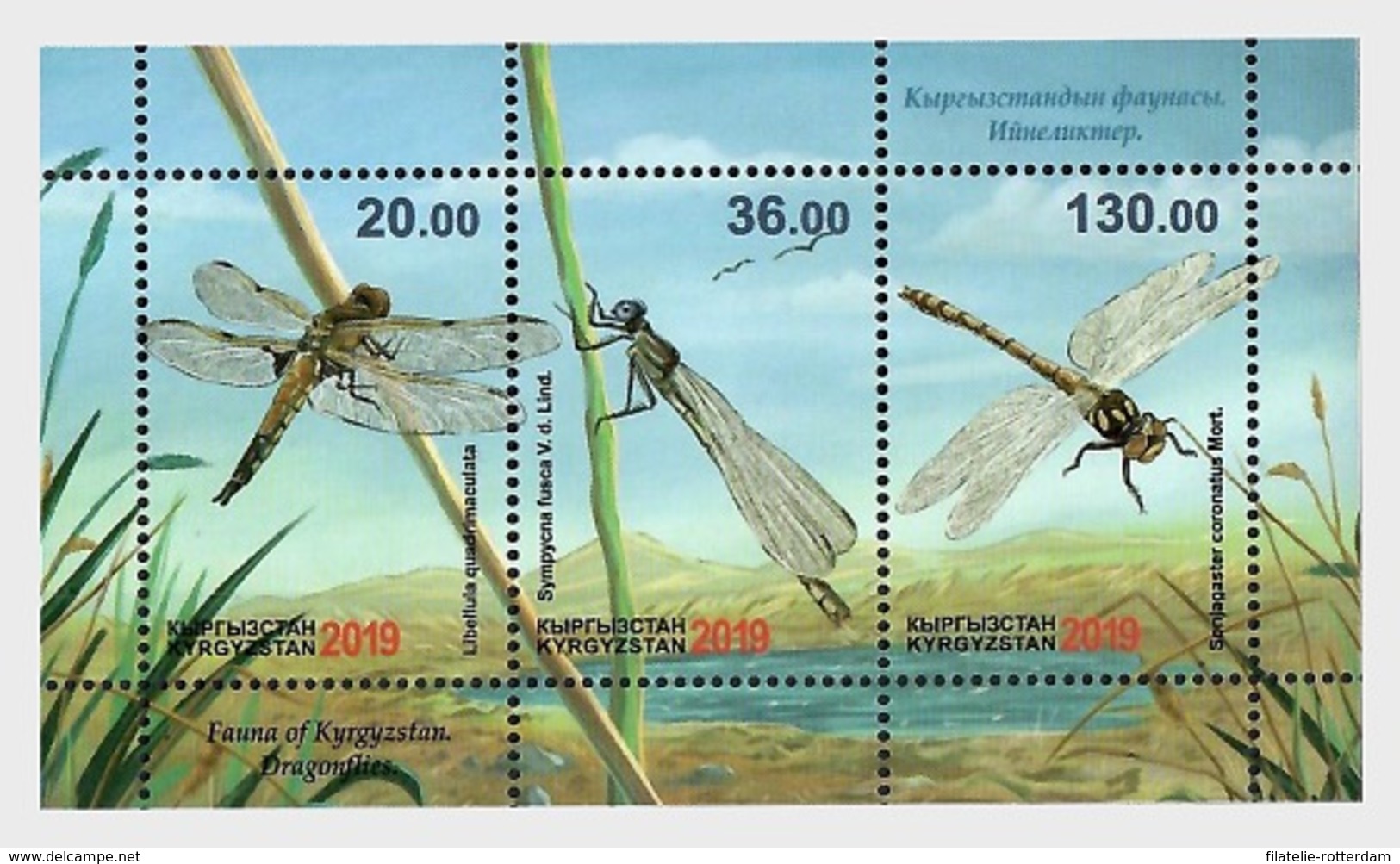 Kirgizië / Kyrgyzstan - Postfris / MNH - Sheet Fauna Van Kirgizië 2019 - Kirgizië