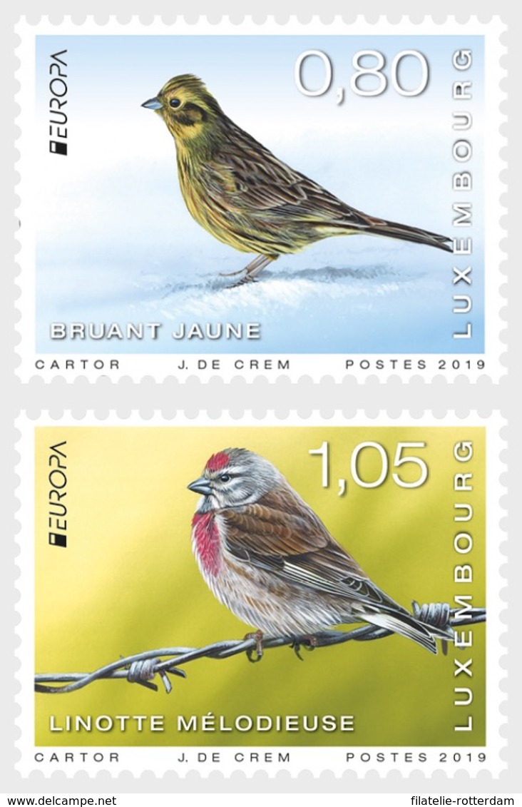 Luxemburg / Luxembourg - Postfris / MNH - Complete Set Europa, Vogels 2019 - Nuevos