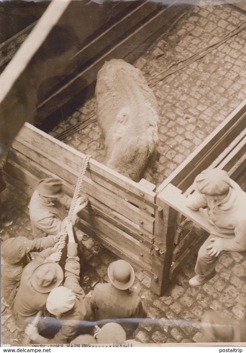 BLACK DIAMOND SENTENCED TO DEATH  CENTRAL PARK  ASPCA  BUFFALO BISON BISONTE 25 *18 CM Fonds Victor FORBIN 1864-1947 - Otros & Sin Clasificación