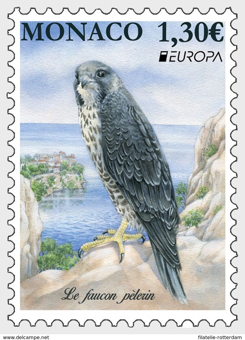 Monaco - Postfris / MNH - Europa, Vogels 2019 - Ongebruikt