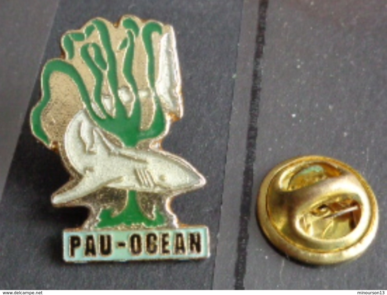 PIN'S  PAU - OCEAN - Villes