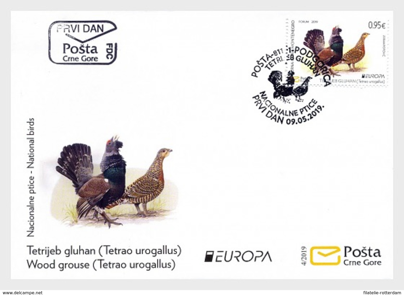 Montenegro - Postfris / MNH - FDC Europa, Vogels 2019 - Montenegro