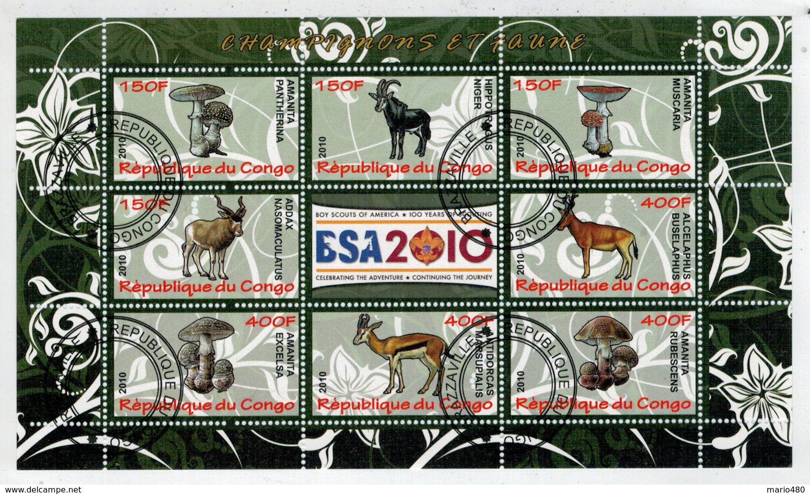 REPUBLIQUE  DU  CONGO    ESA 2010   CHAMPIGNONS  ET  FAUNE       S.SHEET    (TIMBRATO) - Usati