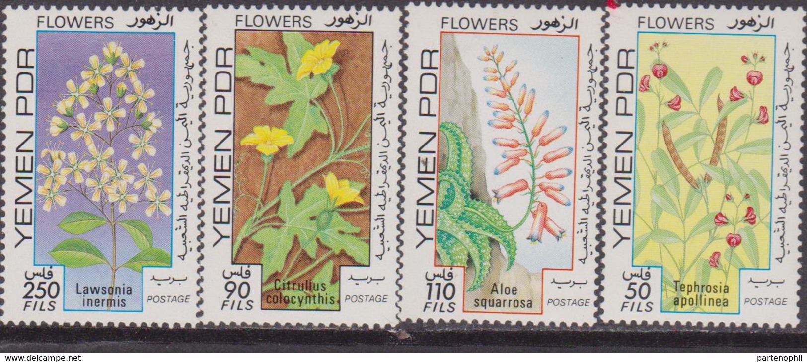 Yemen 1981 - Flowers Fiori Set MNH - Yemen