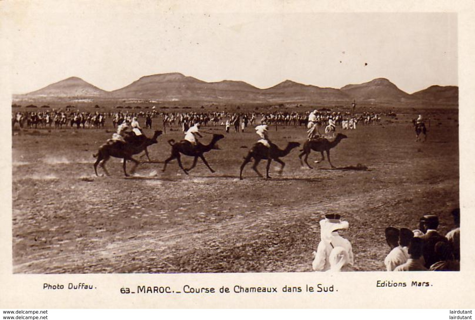MAROC  SCENES ET TYPES  Course De Chameaux Dans Le Sud  ..... - Altri & Non Classificati