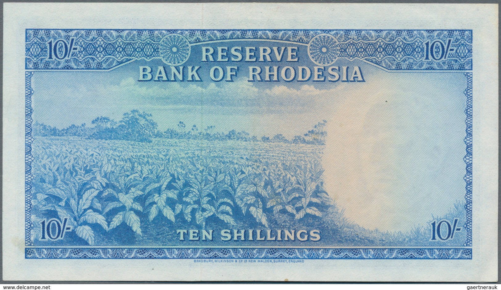 Rhodesia / Rhodesien: Reserve Bank Of Rhodesia 10 Shillings 1964, P.24, Almost Perfect, Just A Few T - Rhodesien