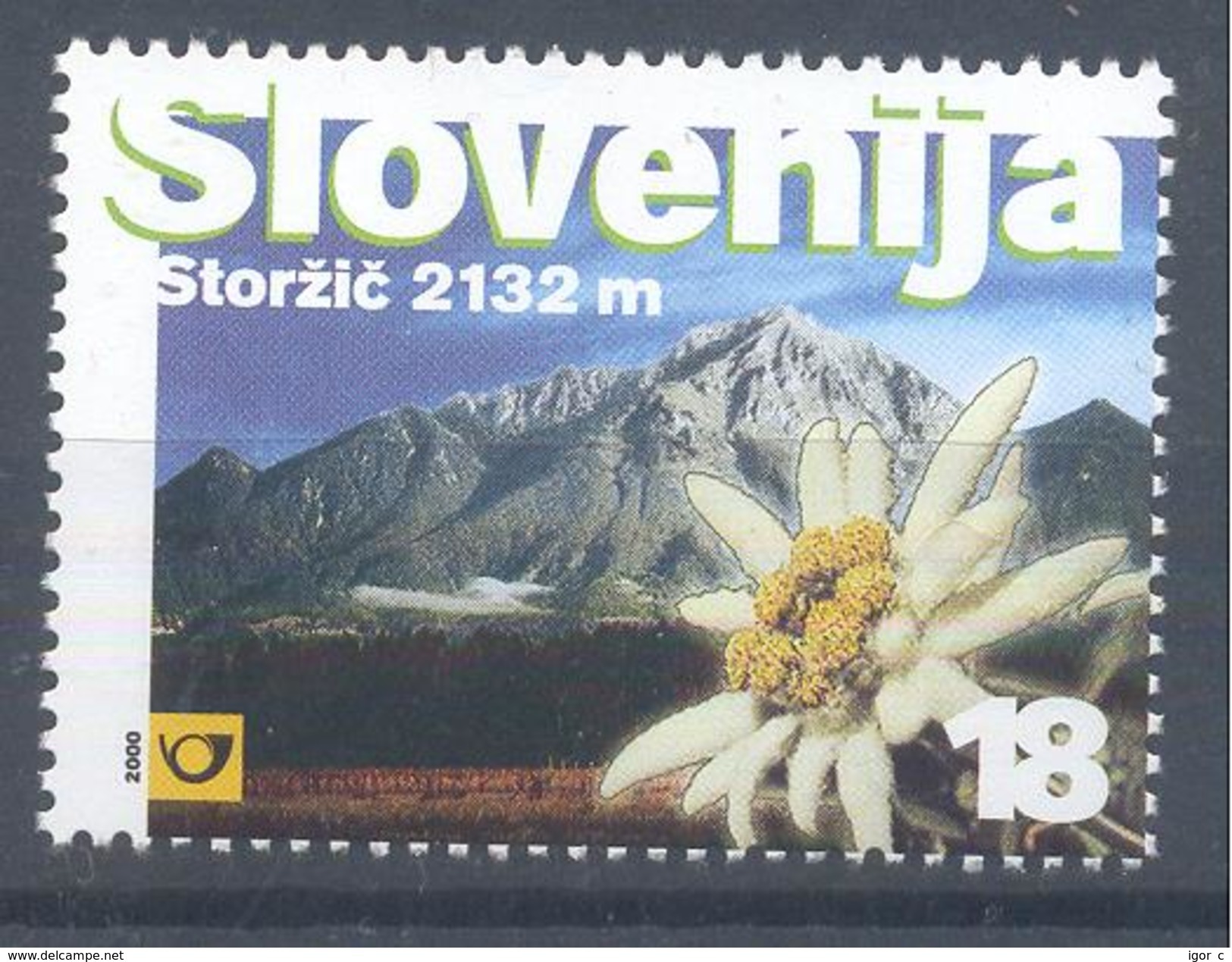 Slovenia Slovenie Slowenien 2000; Alpen-Edelweiß (Leontopodium Nivale Subsp. Alpinum) Edelweiss Mountains Berge Storzic - Sonstige & Ohne Zuordnung