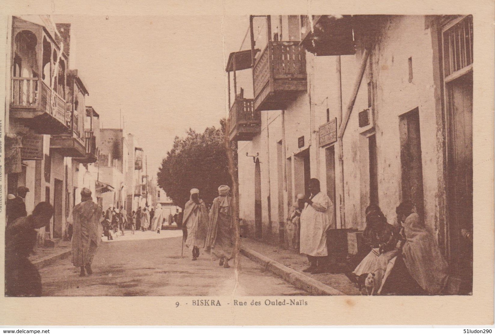 CPA Biskra - Rue Des Ouled-Nails (jolie Animation) - Cliché Peu Fréquent - Biskra