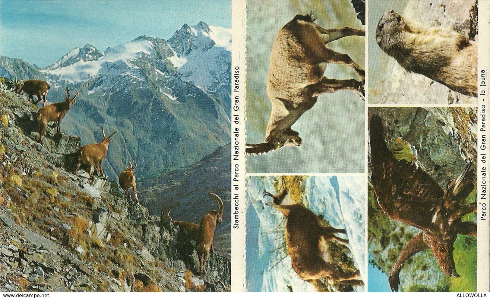 3583 "COGNE-PARCO NAZIONALE DEL GRAN PARADISO-10 VEDUTE A COLORI (8+2)" ORIGINALE - Dépliants Turistici