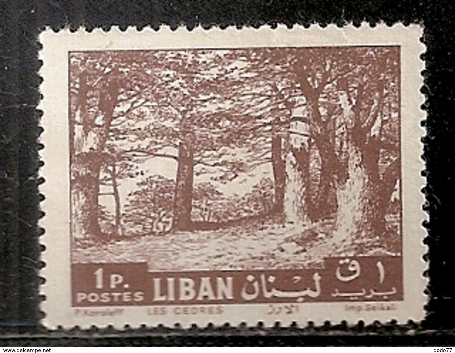 LIBAN     OBLITERE - Liban