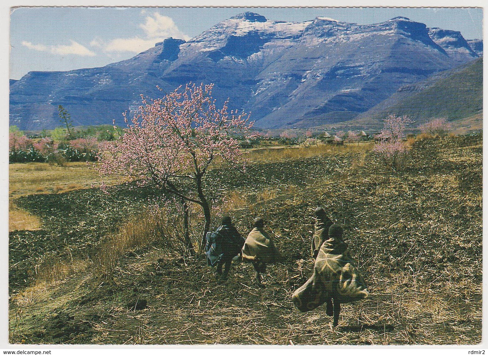 1634/ MOUNT MACHACHE, Lesotho. - Sent In 1989 From Welkom (with Stamp). Circulée En 1989 (avec Timbre). - Lesotho