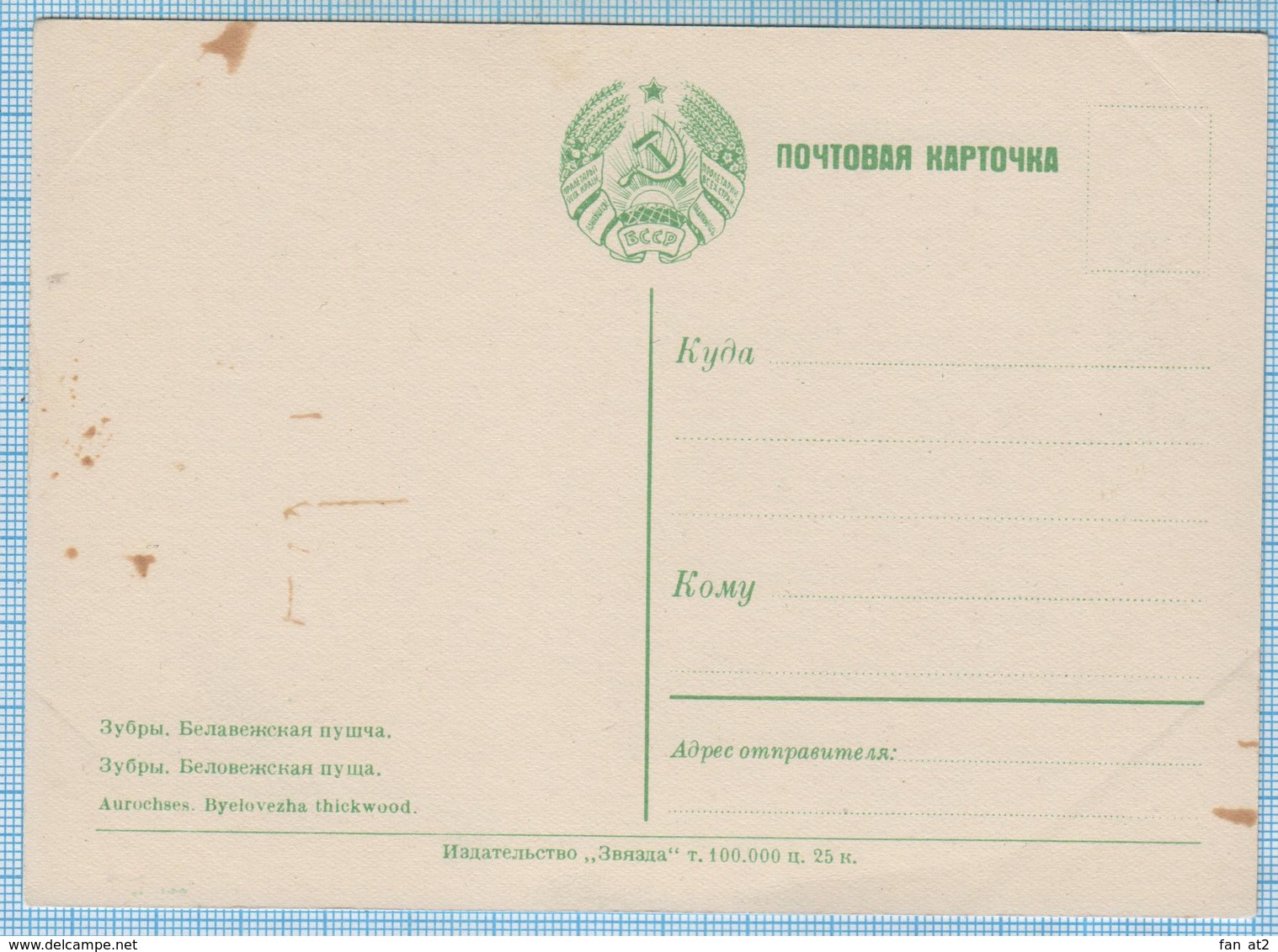 USSR Vintage Postcard Soviet Union / Belorussia Bialowieza Forest. Landscape. Bison. Aurochs 1958 - Wit-Rusland