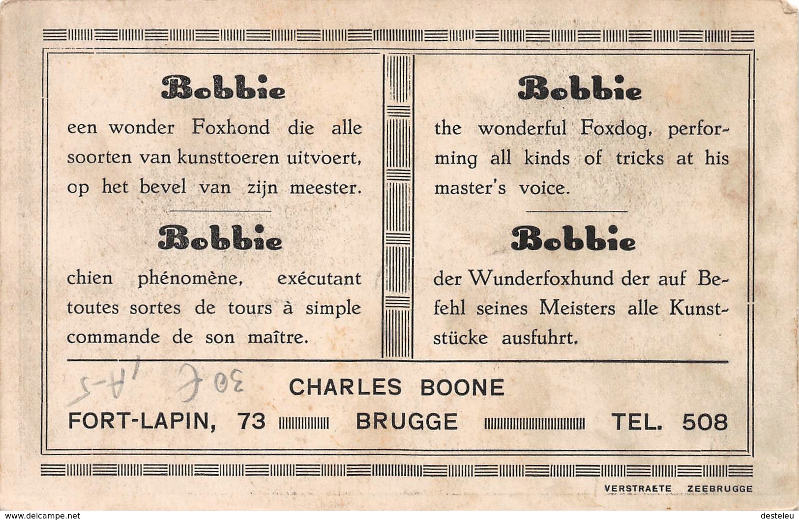 Bobbie Een Wonder Foxhond Charles Boone Brugge - Cirque