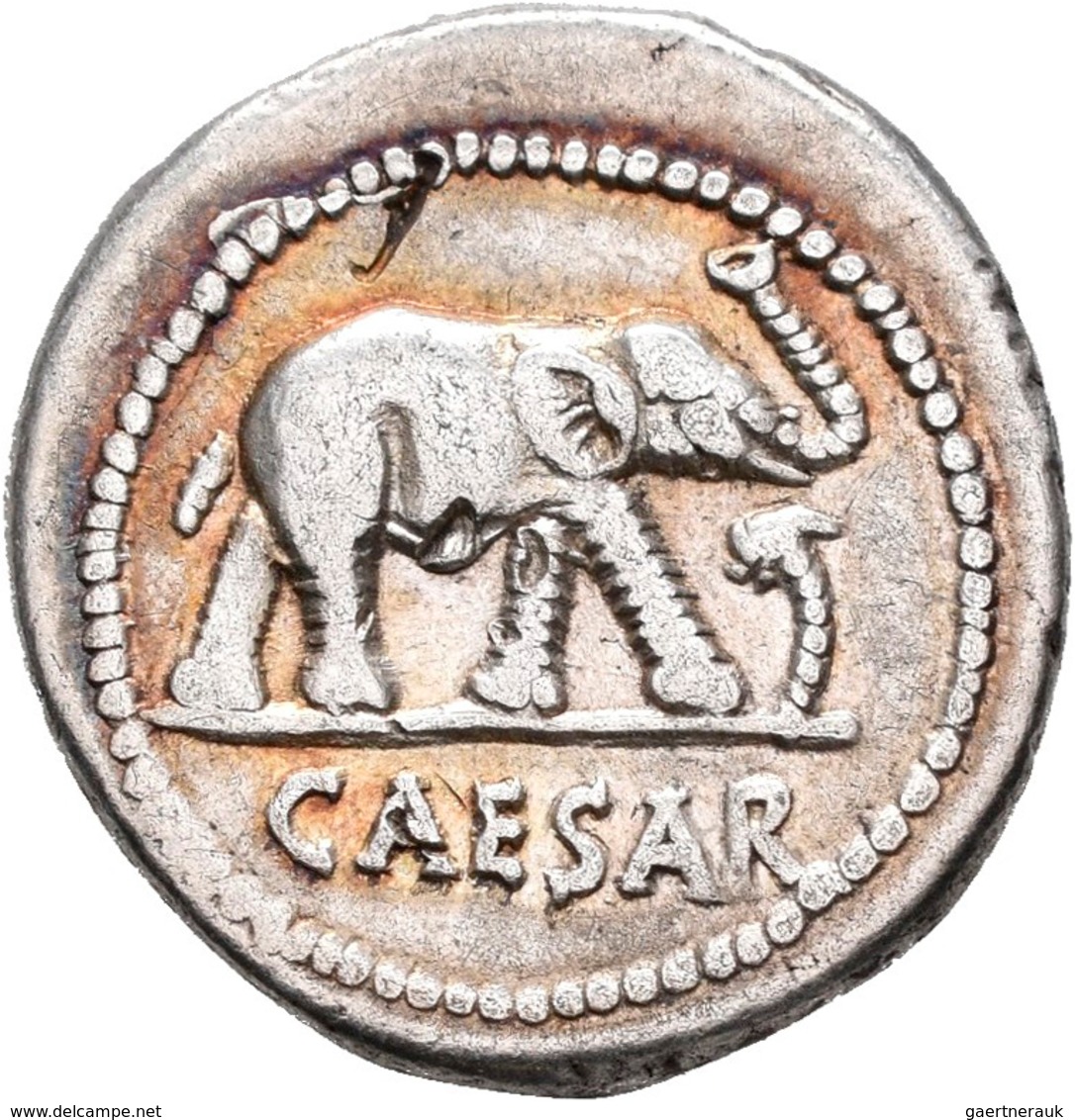 Gaius Iulius Caesar (49/48 V.Chr.): AR-Denar 49-48; 3,94 G, Elefant Nach Rechts Gehend, Eine Schlang - República (-280 / -27)