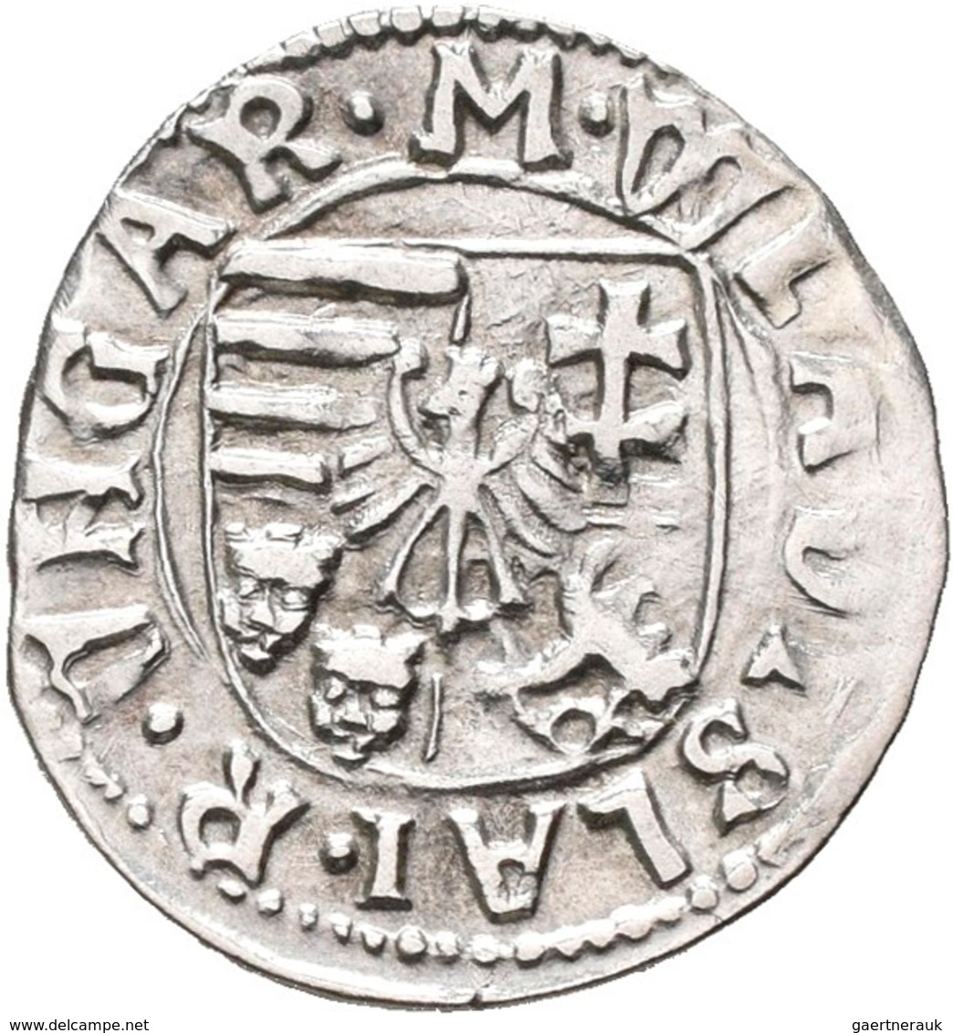 Ungarn: Wladislaus II. 1490-1516: Lot 3 Denare, 1503, 1513, Ohne Jahr, Sehr Schön. - Ungheria