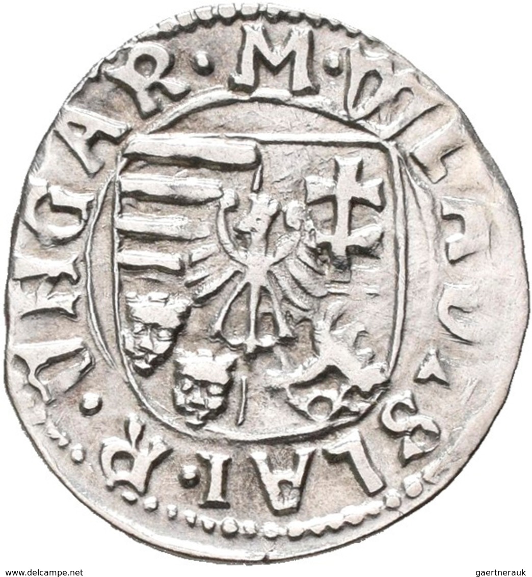 Ungarn: Wladislaus II. 1490-1516: Lot 3 Denare, 1503, 1513, Ohne Jahr, Sehr Schön. - Ungarn