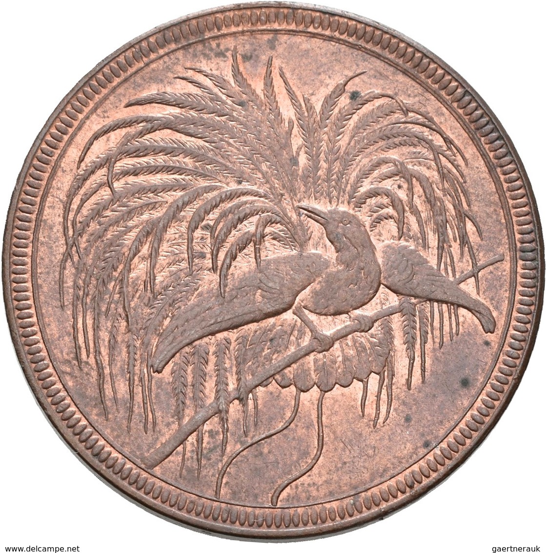 Deutsch-Neuguinea: 10 Neu-Guinea Pfennig 1894 A, Paradiesvogel, Jaeger 703, AKS 961, Schöne Kupferpa - Deutsch-Neuguinea