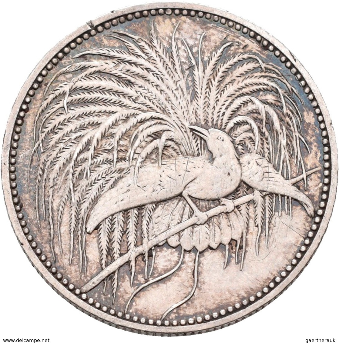 Deutsch-Neuguinea: 1 Neu-Guinea Mark 1894 A, Paradiesvogel, Jaeger 705, AKS 2018, Randfehler, Kratze - Nuova Guinea Tedesca