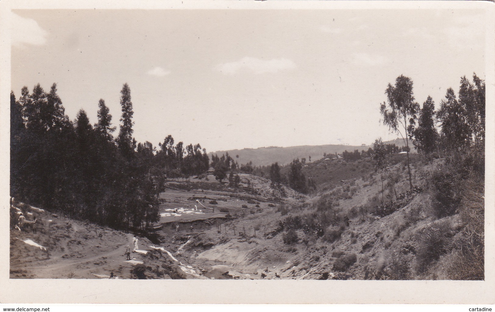 CPA Ethiopie - Carte-Photo - Addis-Abeba: Ravin De La Cubana - 1925 - Ethiopie