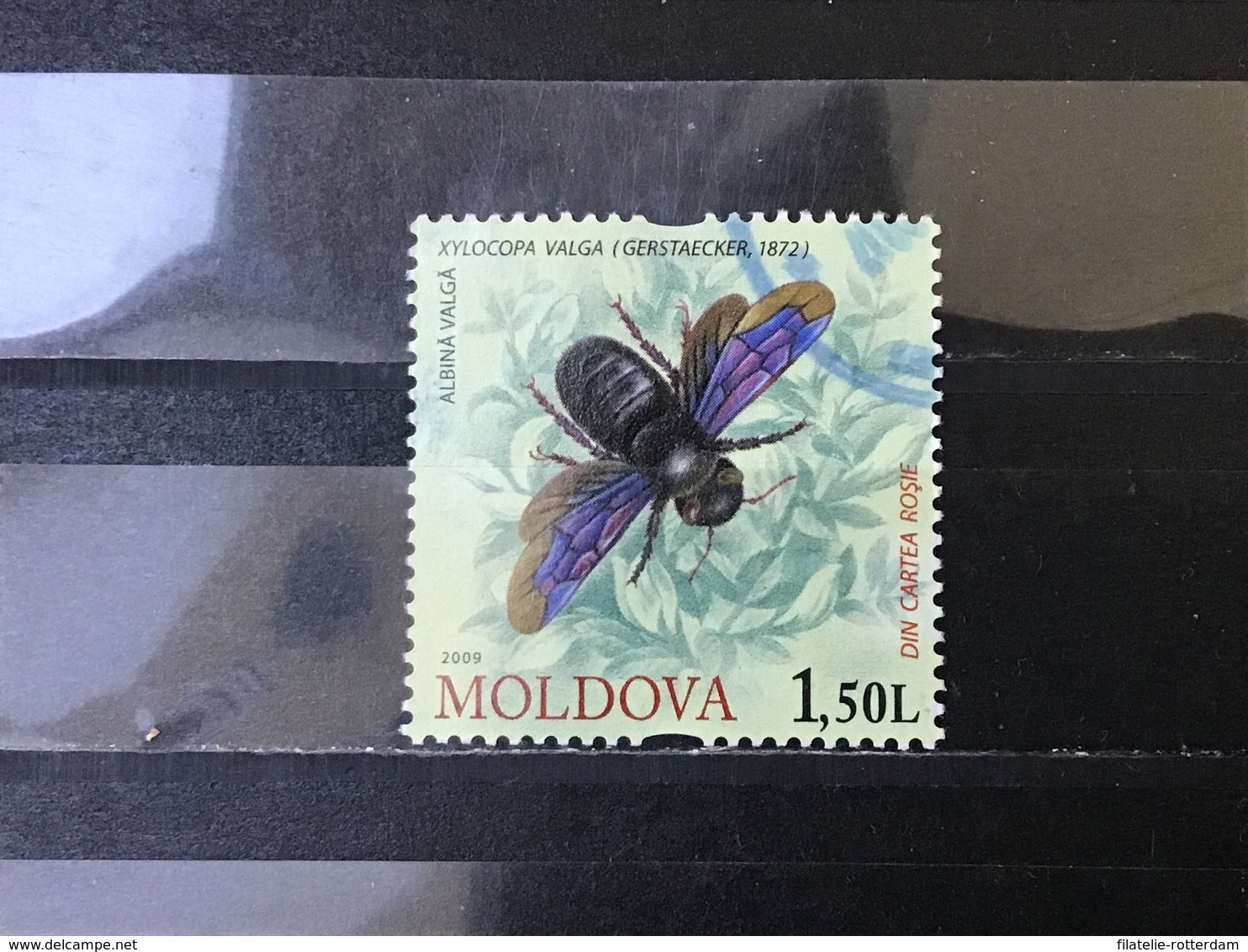 Moldavië / Moldova - Insecten (1.50) 2009 - Moldavië