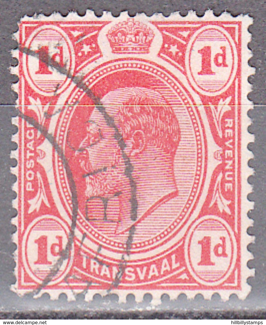 TRANSVAAL    SCOTT NO. 282    USED       YEAR  1905 - Transvaal (1870-1909)