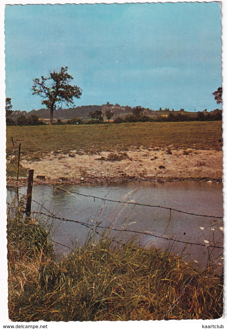 Mont-Cassel - Vue Panoramique - (Nord) - Cassel