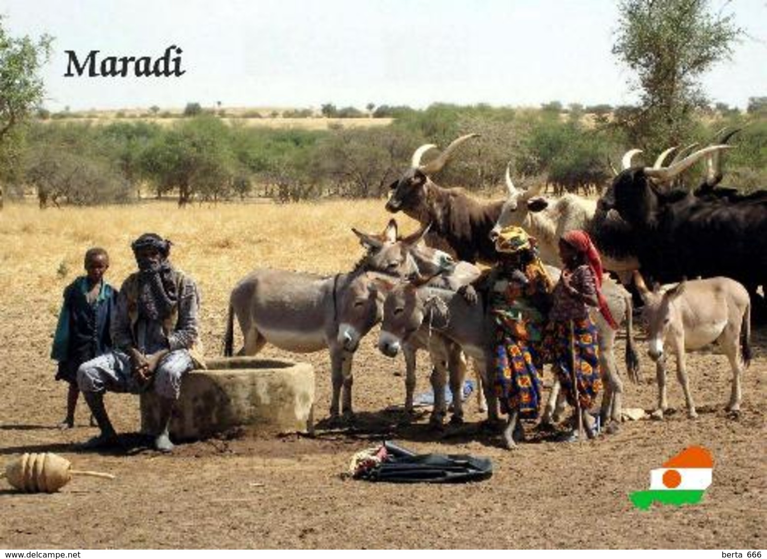 Niger Maradi New Postcard - Niger