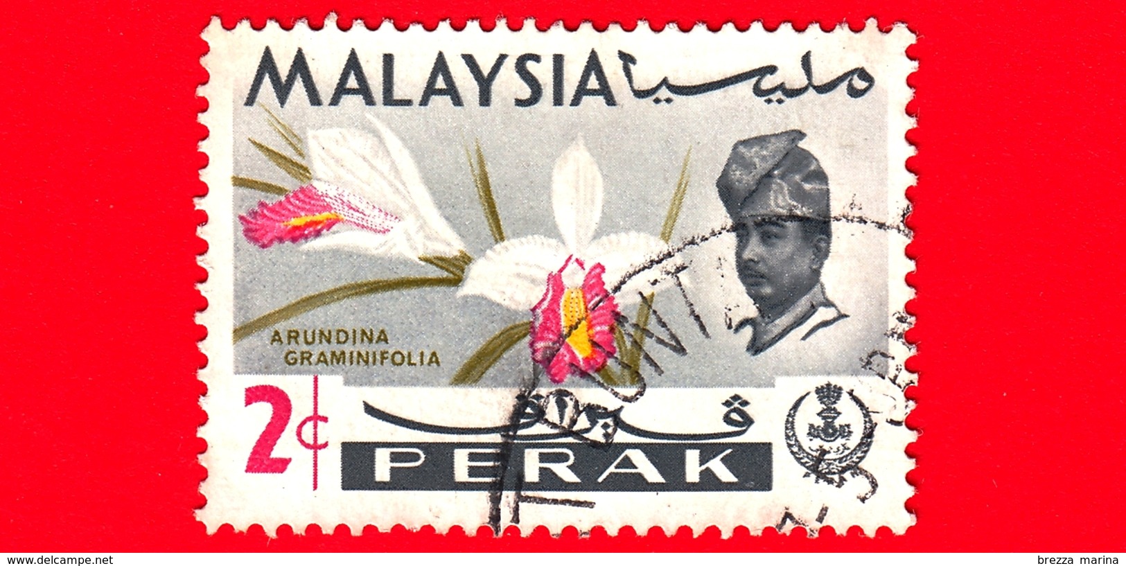 MALESIA - MALAYSIA - Usato - PERAK - 1965 - Fiori - Orchidee - Arundina Graminifolia - Sultano - 2 - Malesia (1964-...)