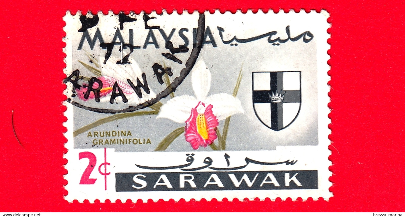 MALESIA - MALAYSIA - Usato - SARAVAK - 1965 - Fiori - Orchidee - Arundina Graminifolia - Stemmi Araldici - 2 - Malesia (1964-...)