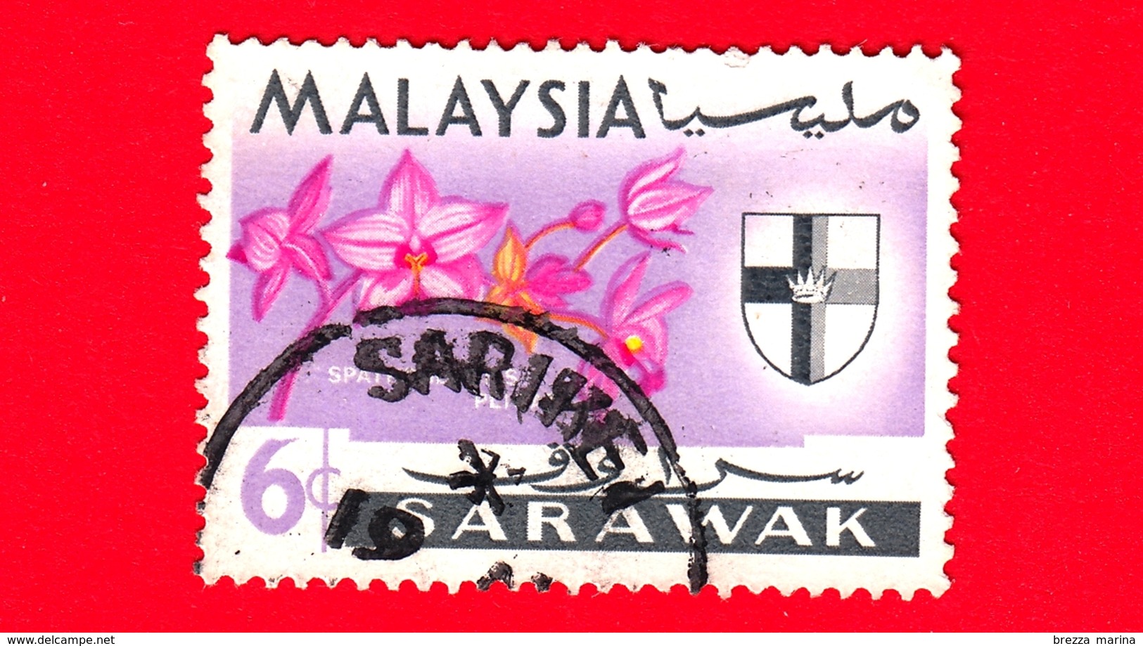 MALESIA - MALAYSIA - Usato - SARAVAK - 1965 - Fiori - Orchidee - Spathoglottis Plicata - Stemmi Araldici - 6 - Malesia (1964-...)