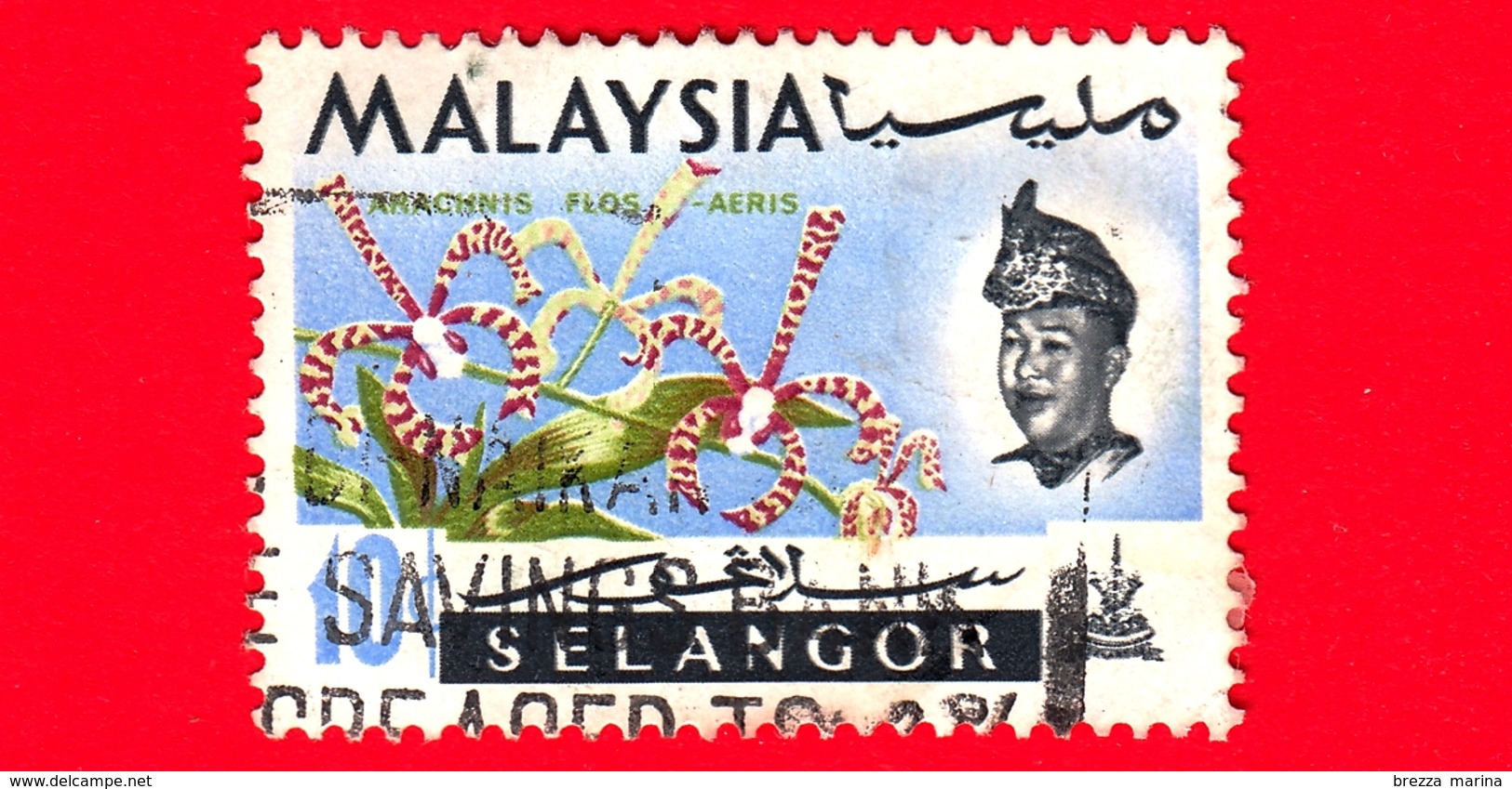 MALESIA - MALAYSIA - Usato - SELANGOR - 1965 - Fiori - Orchidee - Arachnis Flos-aeris - Sultano - 10 - Malesia (1964-...)