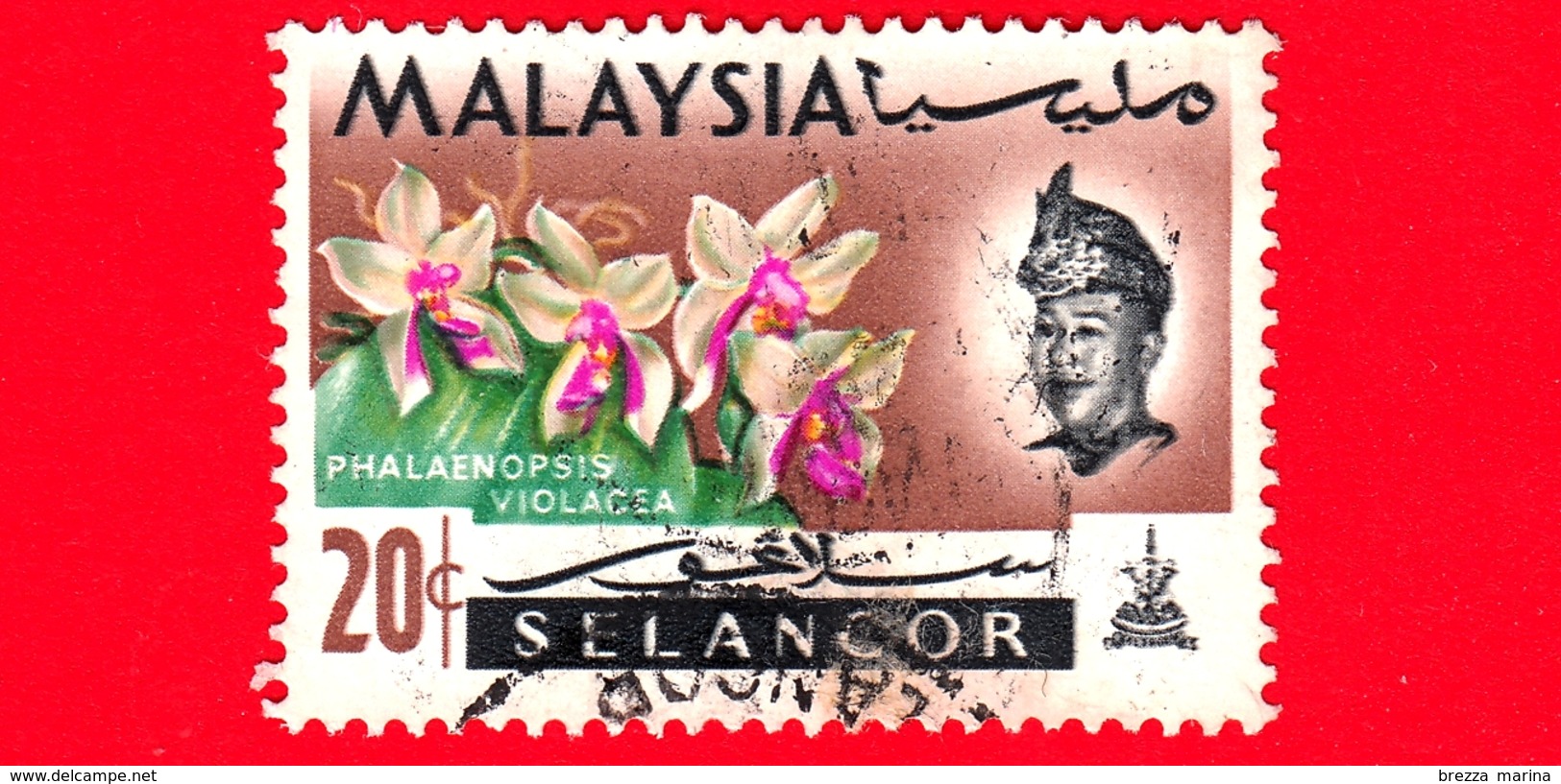 MALESIA - MALAYSIA - Usato - SELANGOR - 1965 - Fiori - Orchidee - Phalaenopsis Violacea - Sultano - 20 - Malesia (1964-...)