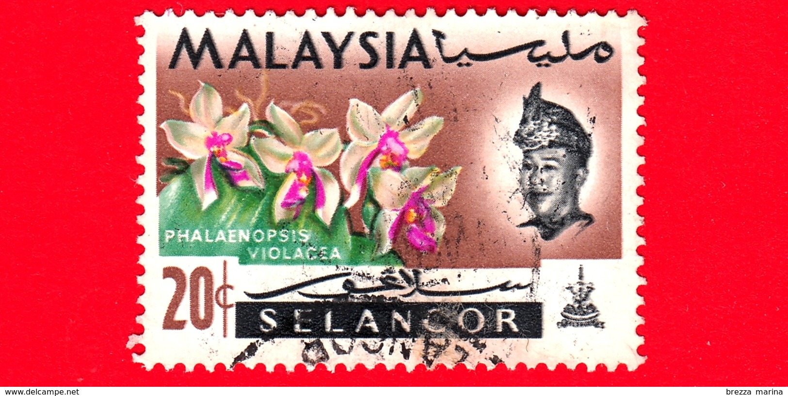 MALESIA - MALAYSIA - Usato - SELANGOR - 1965 - Fiori - Orchidee - Phalaenopsis Violacea - Sultano - 20 - Maleisië (1964-...)