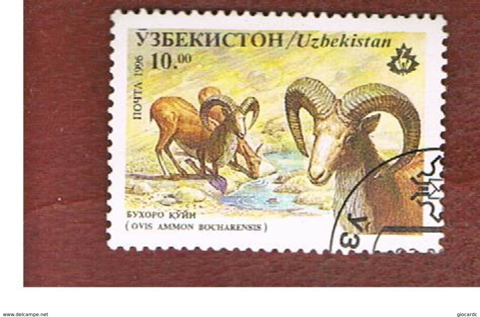 UZBEKISTAN   - SG 108   - 1996 ANIMALS: BUKHARA URIAL   -   USED - Uzbekistan